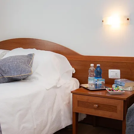 Hotel Nuova Barcaccia 3*