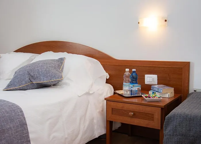 Hotel Nuova Barcaccia 3*