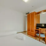 Nuova Barcaccia 호텔 3*