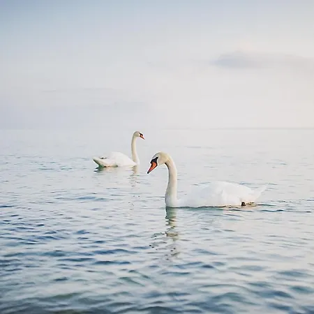 Otel Nuova Barcaccia 3*