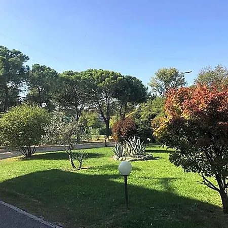ホテル Nuova Barcaccia 3*