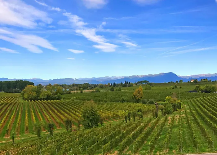 Hotel Nuova Barcaccia Peschiera del Garda